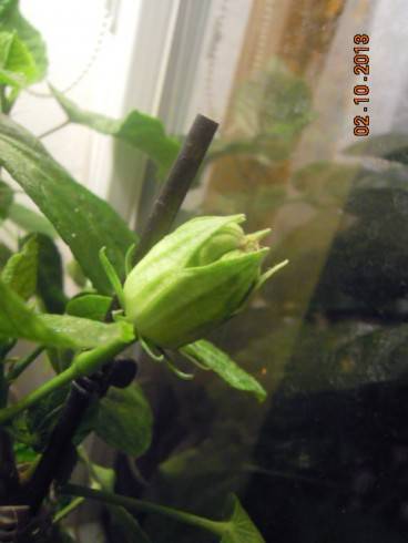 DSCN3819.JPG