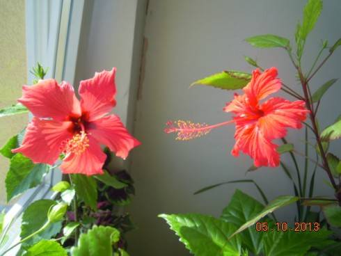 DSCN3882.JPG