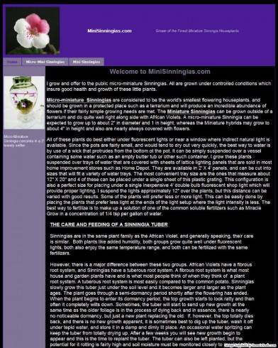 minisinningias.com.jpg