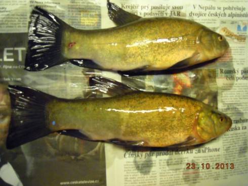 DSCN4290.JPG