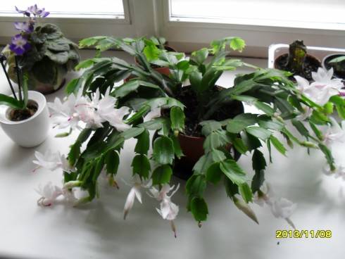 2012-2013 647.jpg