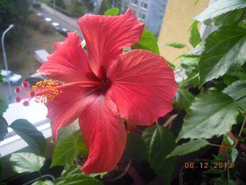 DSCN5325.JPG