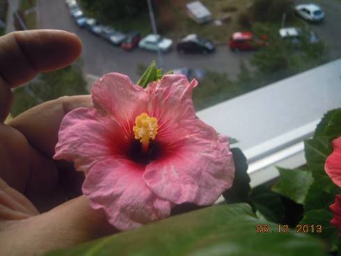 DSCN5327.JPG