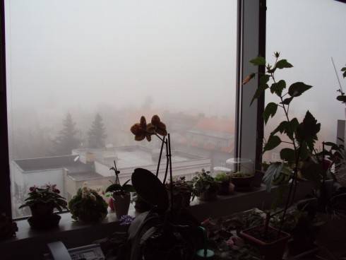 DSC01099.JPG