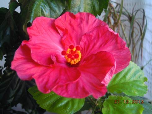 DSCN5662.JPG