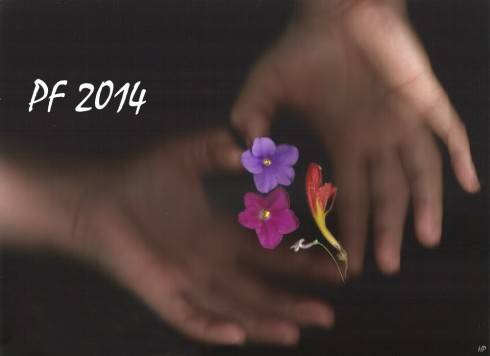 PF2014.jpg