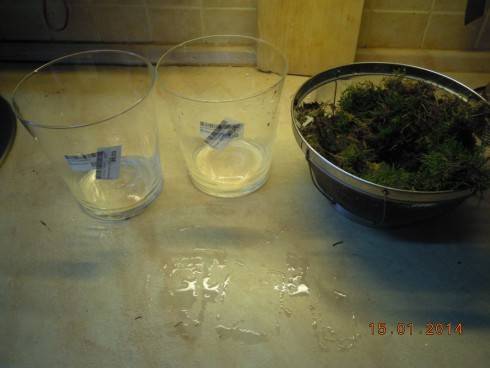 DSCN6222.JPG