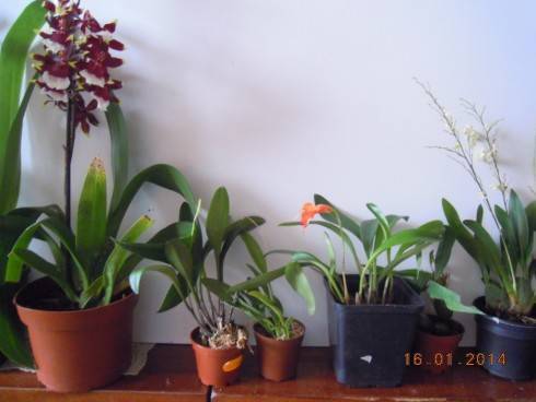DSCN6255.JPG