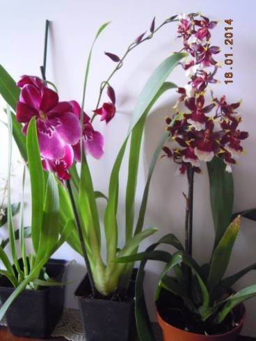 DSCN6273.JPG