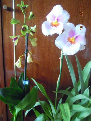 DSCN6328.JPG
