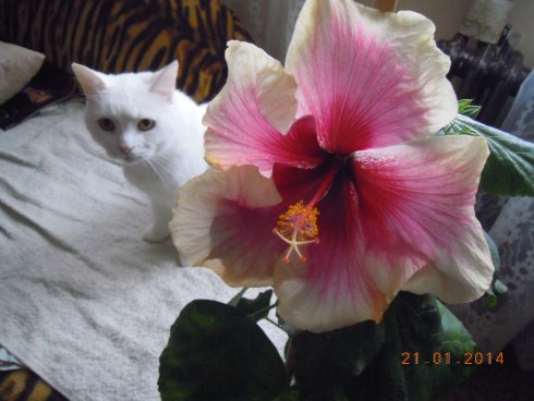 DSCN6449.JPG