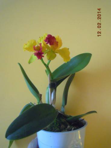 DSCN7202.JPG