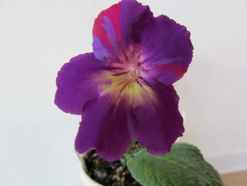 Spin Art.jpg