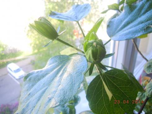 DSCN9269.JPG