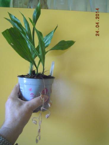 DSCN9341.JPG
