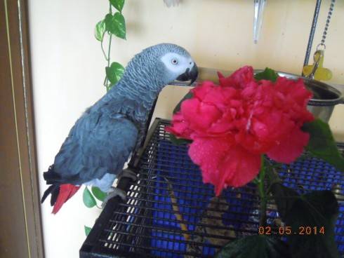 DSCN9534.JPG