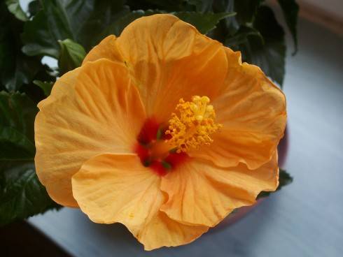 12.5.2014 003.JPG