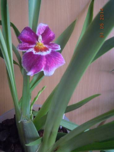 DSCN9897.JPG