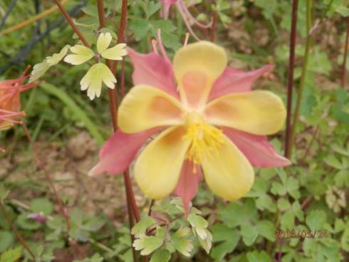 033.JPG