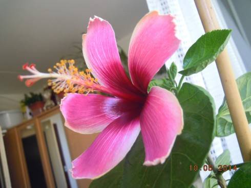 DSCN0362.JPG