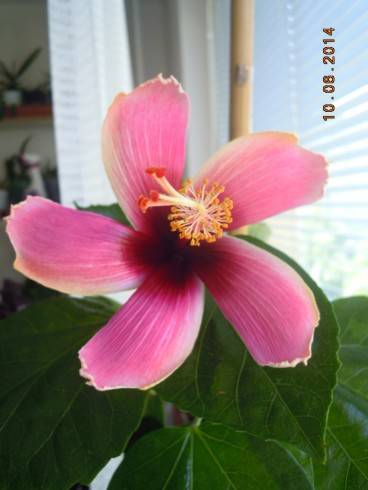 DSCN0357.JPG