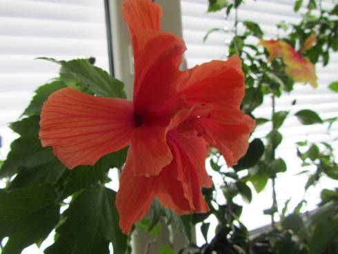 IMG_1286.JPG