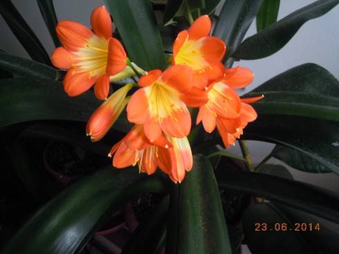 DSCN0627.JPG