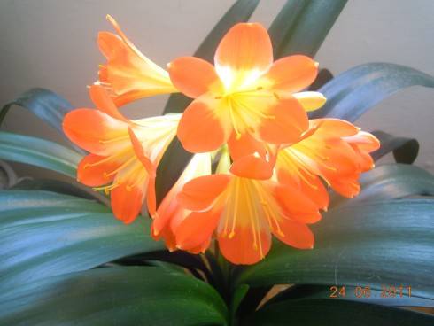 DSCN6443.JPG