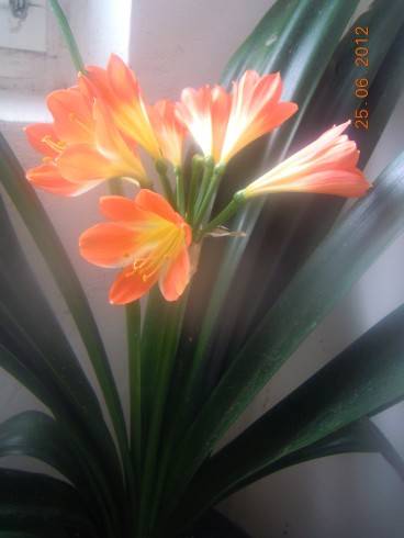 DSCN4944.JPG