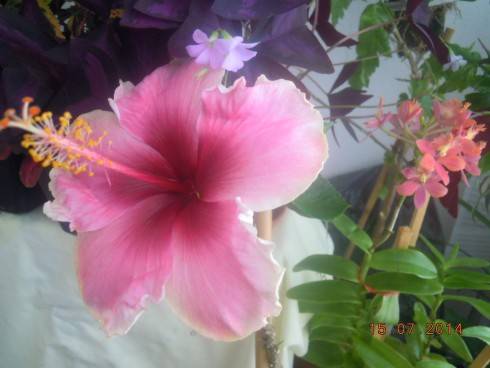 DSCN1544.JPG