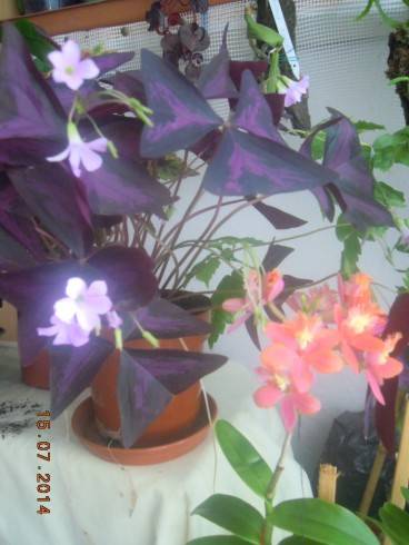 DSCN1564.JPG