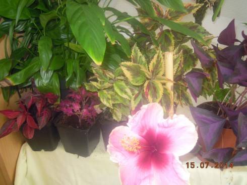 DSCN1568.JPG