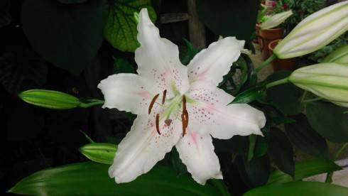 20140531_075845.jpg