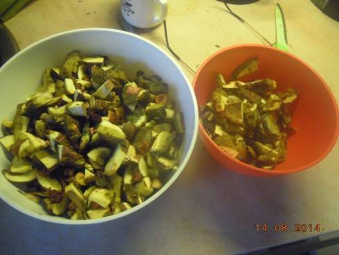 DSCN2011.JPG