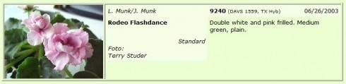 Rodeo Flashdance.jpg