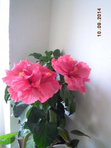 DSCN2876.JPG