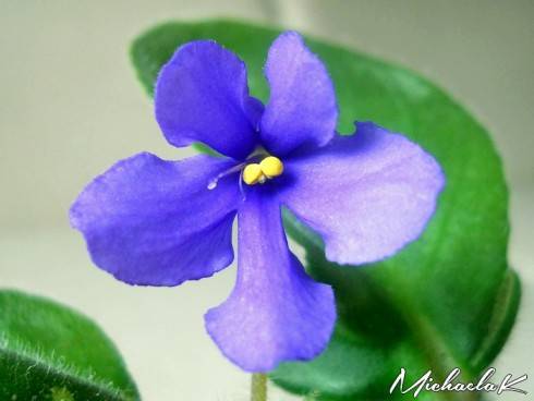 Two-w Trollungen.jpg