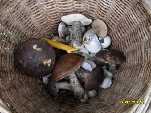 SDC11052.JPG