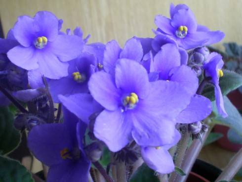 S4022770.JPG