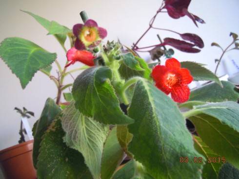 DSCN5625.JPG