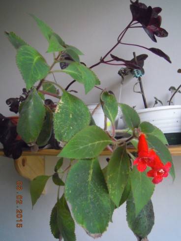 DSCN5637.JPG