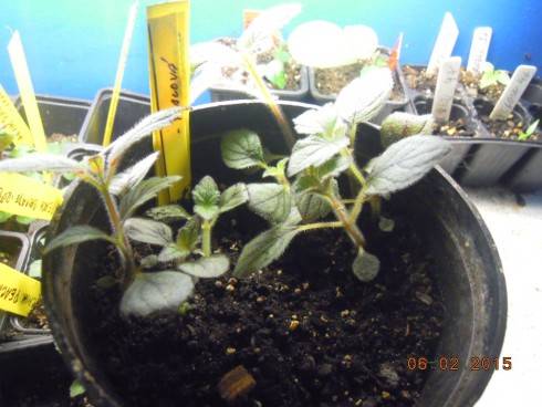 DSCN5656.JPG