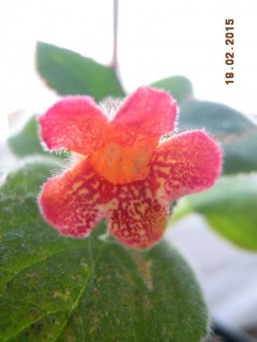 DSCN5850.JPG