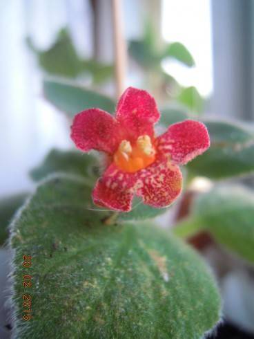 DSCN5898.JPG
