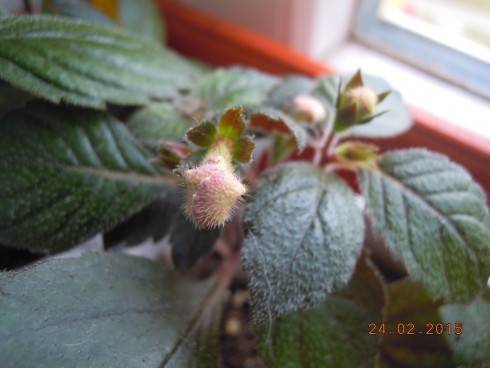 DSCN6161.JPG