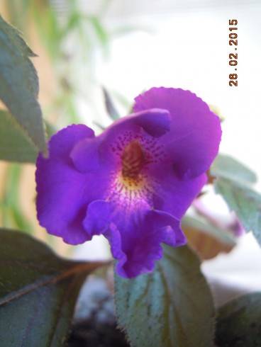 DSCN6179.JPG