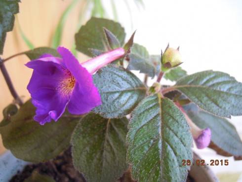 DSCN6189.JPG