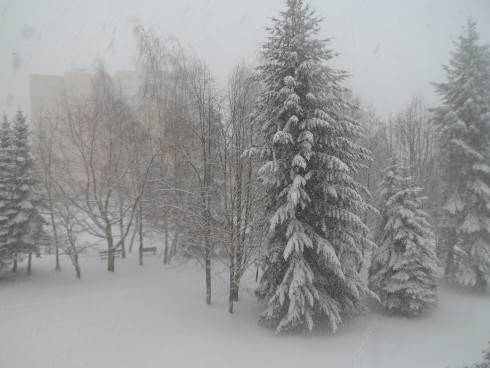 jaro 001.JPG
