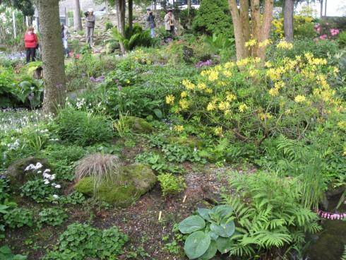 IMG_2450.JPG