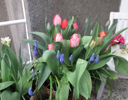 IMG_0606.JPG